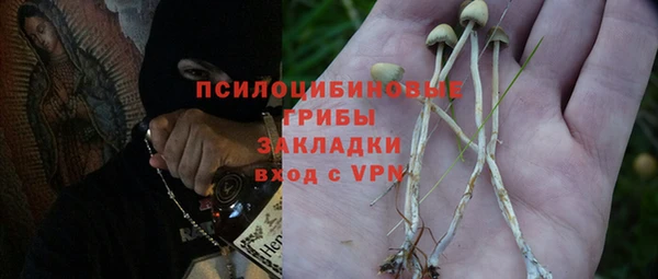 каннабис Богородицк