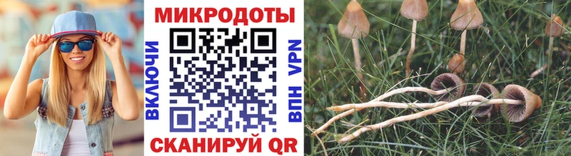 Псилоцибиновые грибы MAGIC MUSHROOMS  мега как войти  Электроугли 